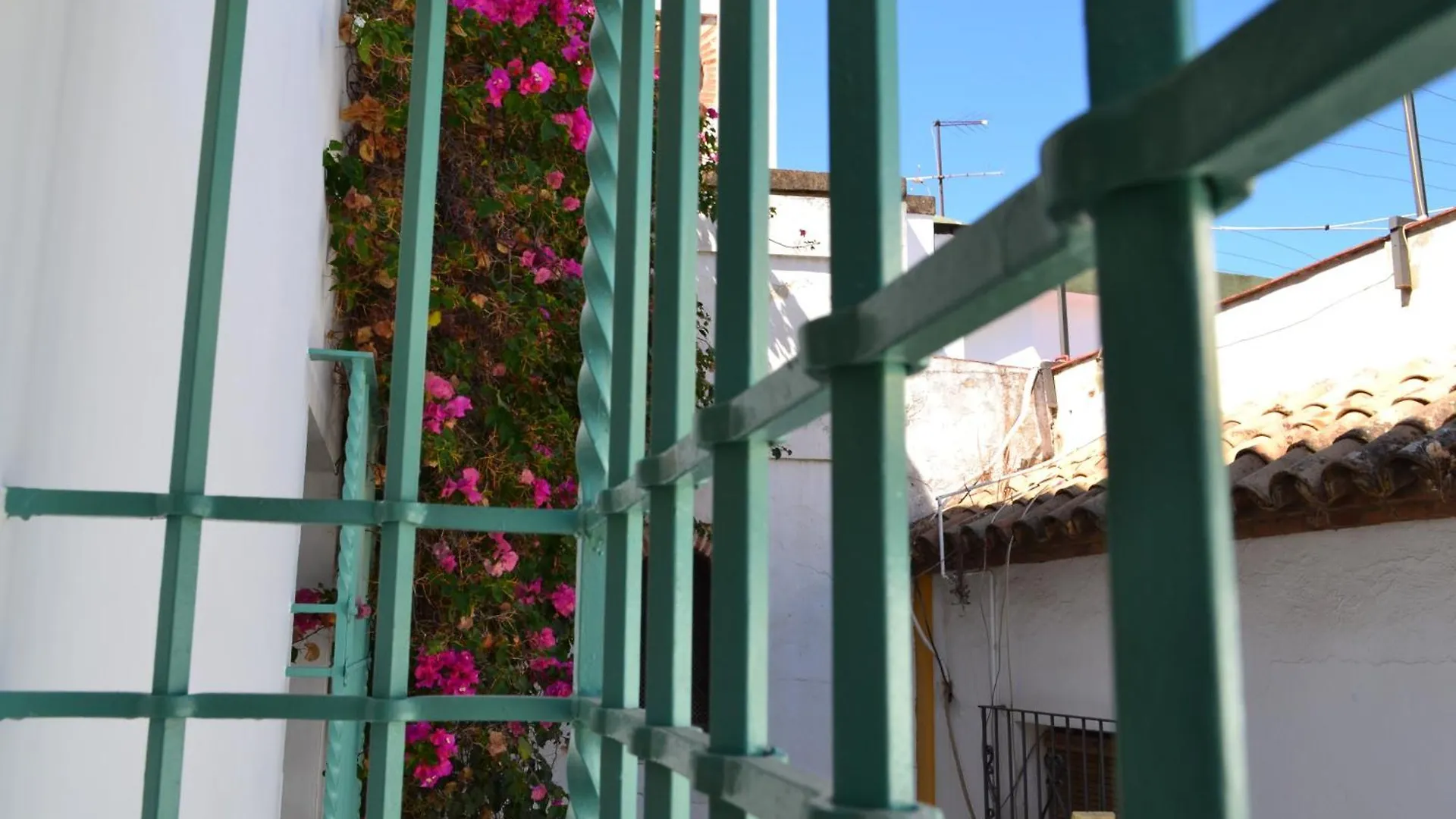 Apartamento Sunshine Patio De La Hoguera Córdoba