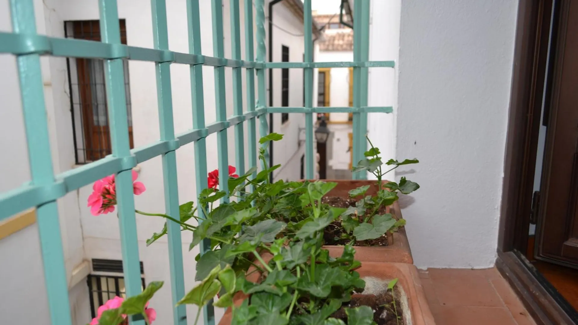 Apartamento Sunshine Patio De La Hoguera Córdoba